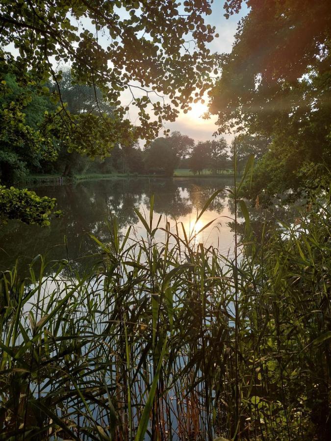 Ferienwohnung Am Buergerteich Bischofswerda Dış mekan fotoğraf